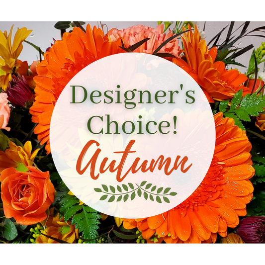 Designer's Choice Autumn